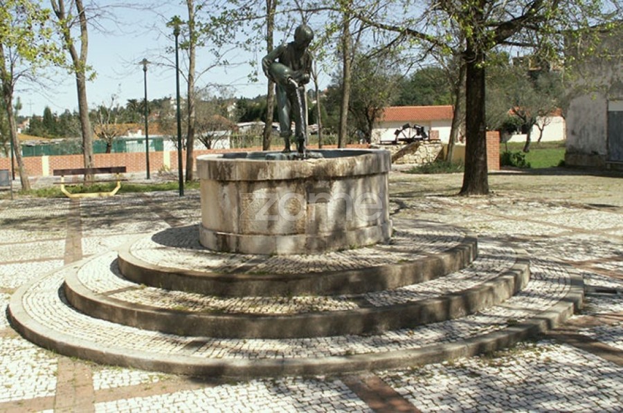 Image Image