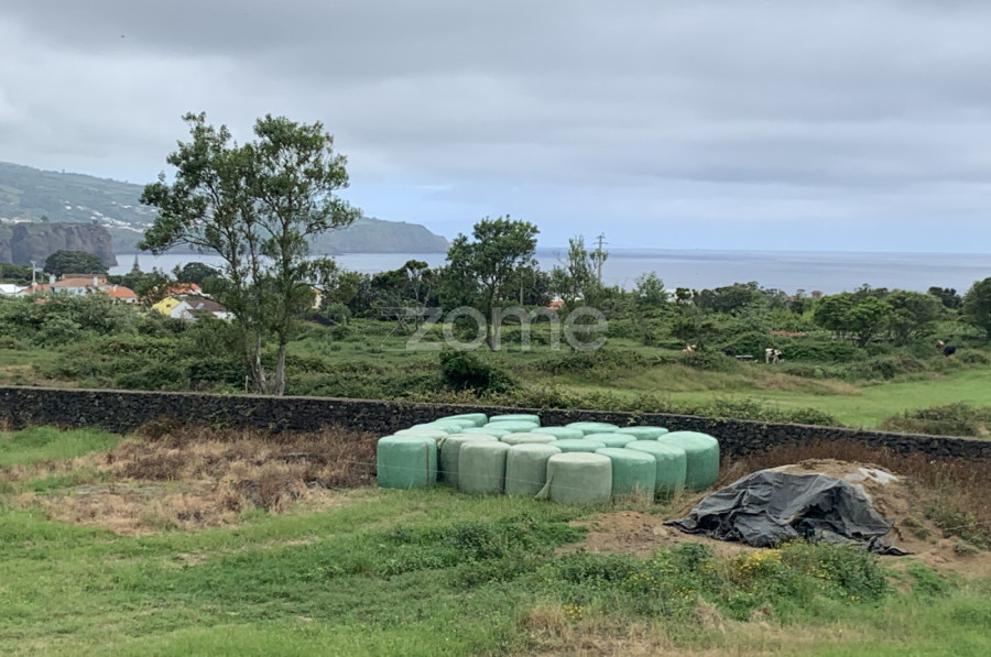 Zome Portugal Rustic Land in São Vicente Ferreira ZMPT552069