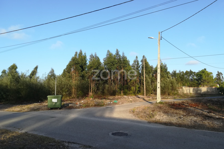 Zome Portugal Terreno Urbanizável em Pereirões Tocha ZMPT560150