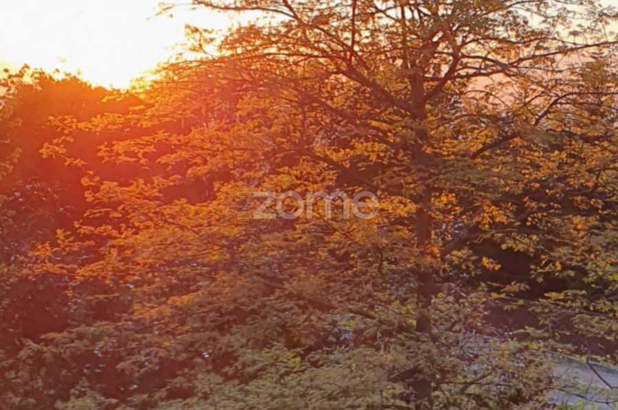 Casa na encosta da Penha - Interior