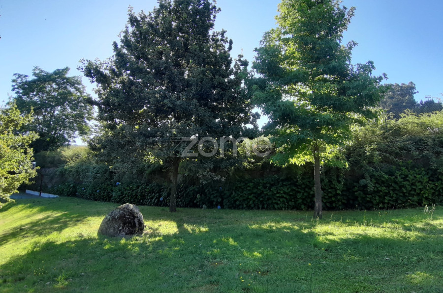 Casa na encosta da Penha - Interior