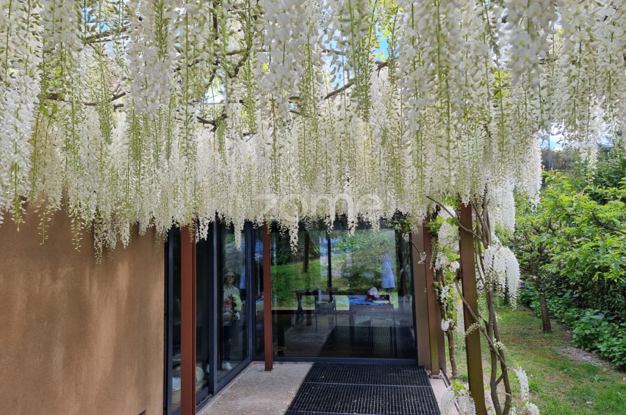Casa na encosta da Penha - Interior