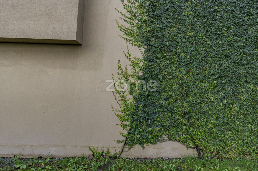 Casa na encosta da Penha - Interior