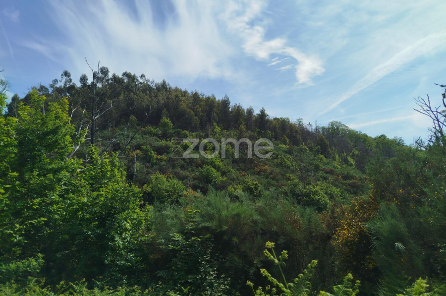 Imagem Imagem